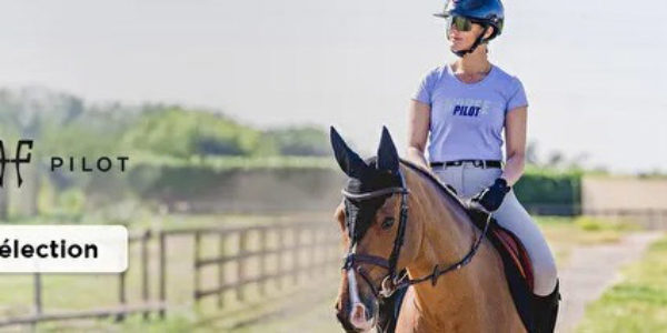 équitation