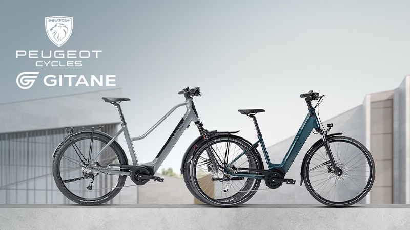 Vente privee VTC