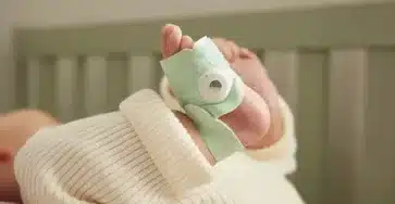 Owlet