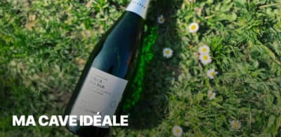 Image du dernier article