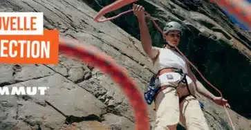 Mammut