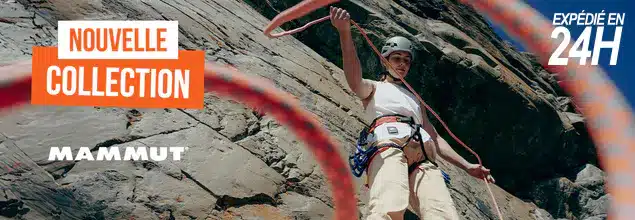 Mammut