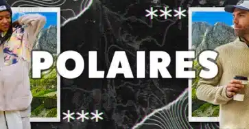 Polaires