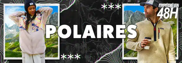 Polaires