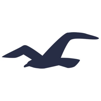 Vente privee Hollister